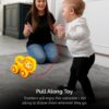 61CyJjYjyaL._AC_SL1500_.jpg Leo The Lion Pull Along