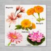 Educational Flower Puzzle