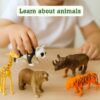 61Pm4cV23KL._AC_SL1500_.jpg Animal World Wild Animals 5 Pcs Set