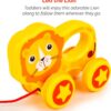 61RoSaEDUmL._AC_SL1500_.jpg Leo The Lion Pull Along