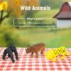 61iXhKw55SL._AC_SL1500_.jpg Animal World Wild Animals 3 Pcs Set