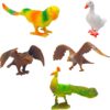 61iekrsQQGL._AC_SL1500_.jpg Bird Sanctuary 5 Pcs