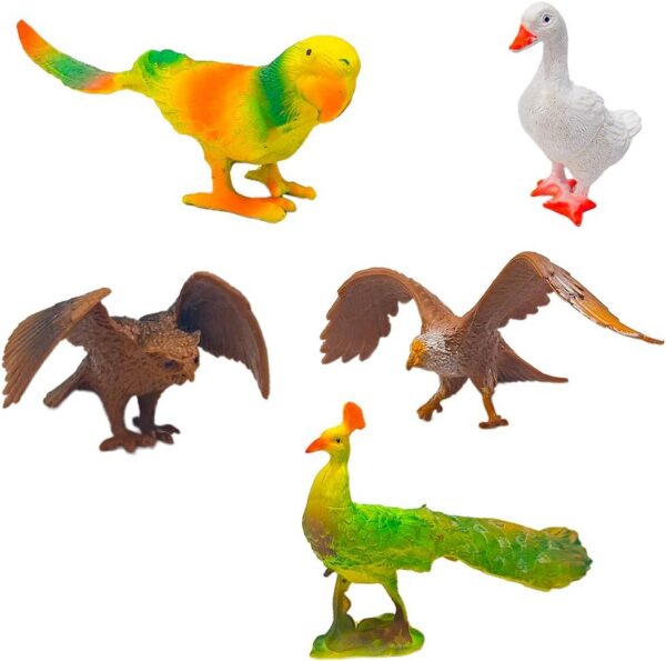 61iekrsQQGL._AC_SL1500_.jpg Bird Sanctuary 5 Pcs