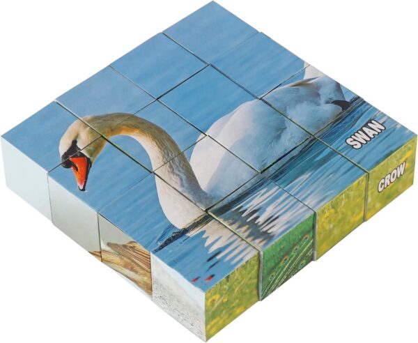 7196h7ar5gL._AC_SL1500_.jpg Educational Rajhans Bird Blocks