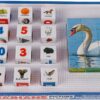 719FKEXSCkL._AC_SL1500_.jpg Educational Rajhans Bird Blocks