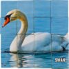 719LFHyE3RL._AC_SL1500_-1.jpg Educational Rajhans Bird Blocks