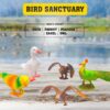71CduJUPJXL._AC_SL1500_.jpg Bird Sanctuary 5 Pcs