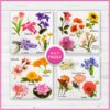 Educational Flower Puzzle