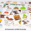 71CnQeSFnqL._AC_SL1500_.jpg Animals Their Homes and What They Eat