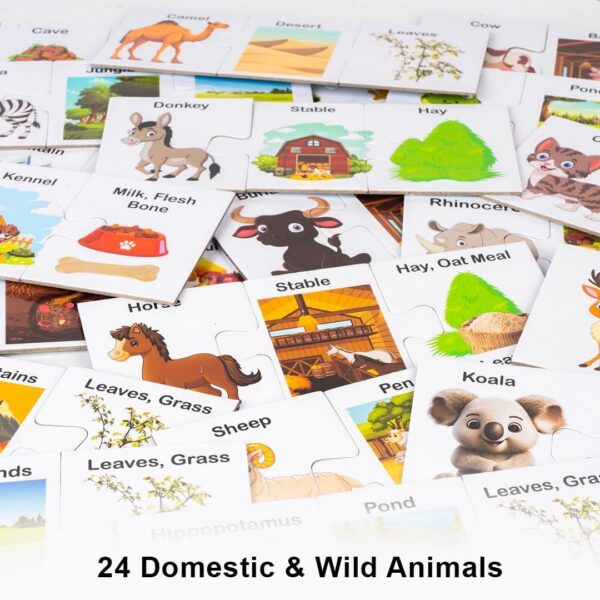 71CnQeSFnqL._AC_SL1500_.jpg Animals Their Homes and What They Eat