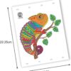 71TS7MT2VAL._AC_SL1500_.jpg Jungle Mandala Art Colouring Kit