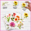 Educational Flower Puzzle