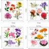 Educational Flower Puzzle